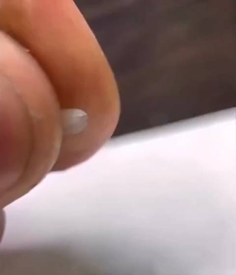 玩米雕的都是艺术家， 看看他们怎么在小小一粒大米上雕刻出来一只哥斯拉