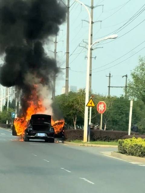 新宝马7系！就这么烧了，就问你心不心疼…… 这应该是48V轻混版本吧？