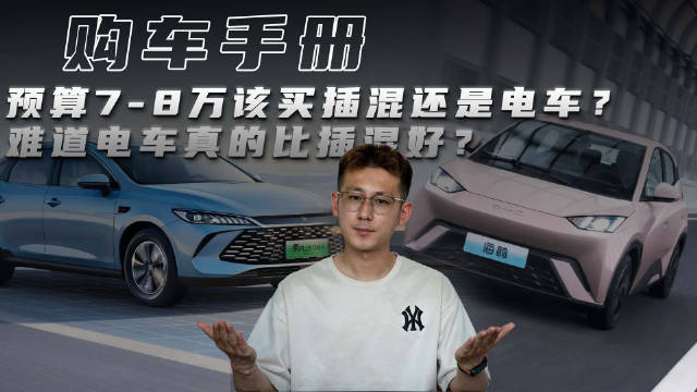 视频：7-8万预算选纯电还是插混，海鸥缤果秦PLUS优缺点解析