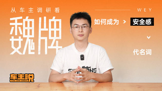 317位车主调研揭秘魏牌蓝山用户真实标签