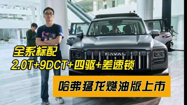 哈弗猛龙燃油版标配2.0T+9DCT+四驱+差速锁