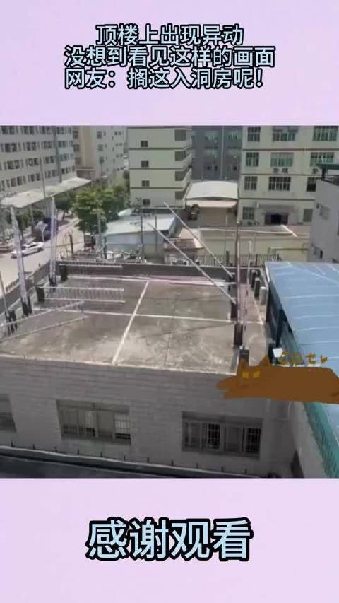 顶楼上出现异动