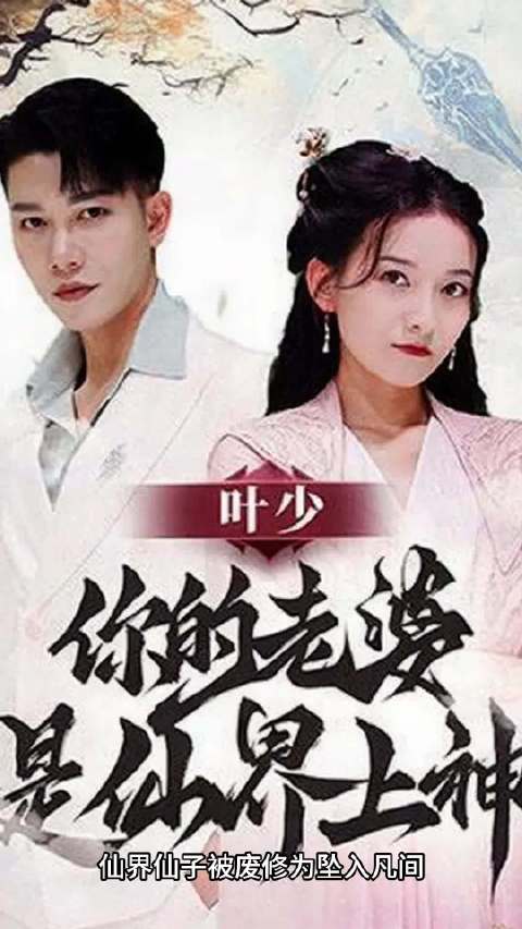 仙界顶流嫁给冷面冰山大佬，这种配置成功引起了我的注意