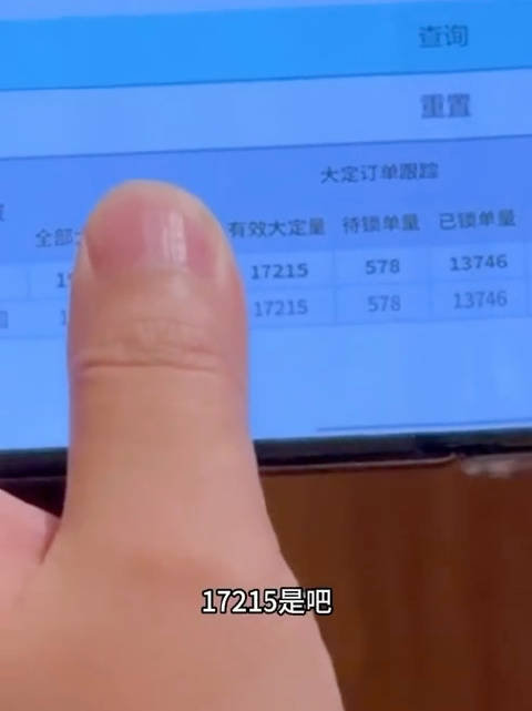 直接上内部系统，展示大定量，底气十足