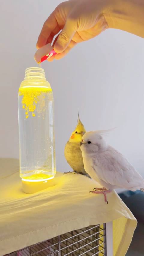 8岁生日快乐！马可宝贝！