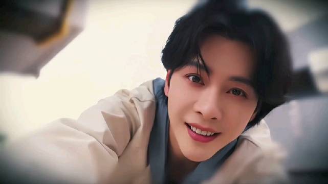 狗狗（我）的视角：从来没有想过，有一天，你会出现在我的生命里，治愈了我