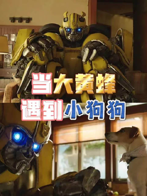 彻底融入地球人生活的大黄蜂！ 科幻动作电影《大黄蜂》，今日22:25播出