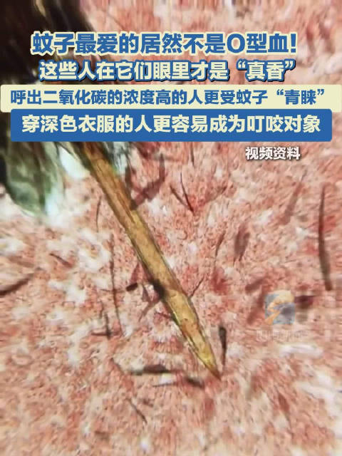 蚊子咬人根本不挑血型