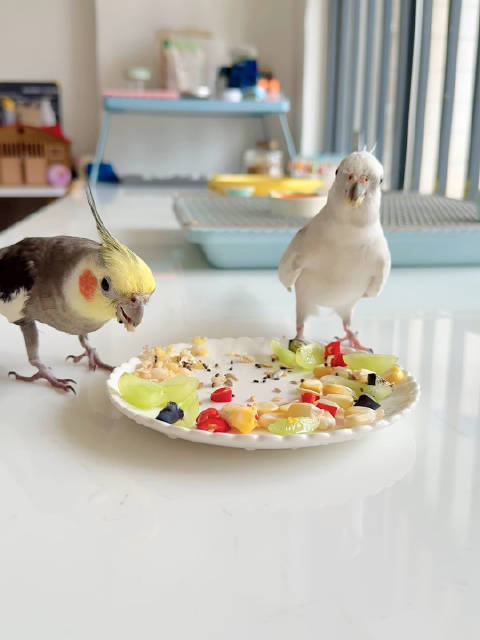 马可吃饭总喜欢吃一下玩一下