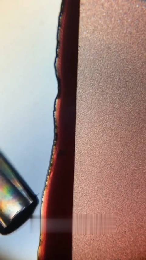 在这个实验中，海恩斯博士将致命的加蓬蝰蛇毒液添加到人类血液中