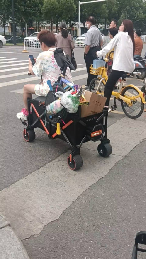 露营车都发展到电动的了