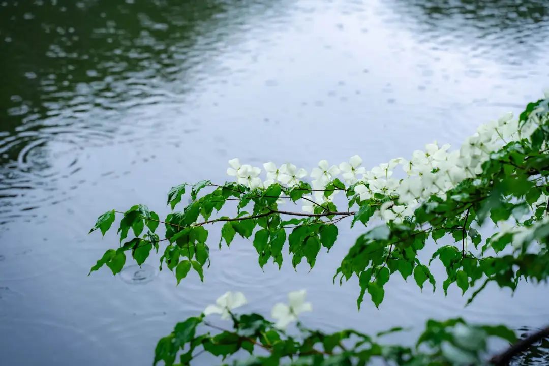 六月,带你嗨玩河南!