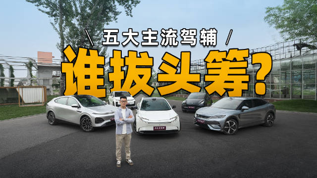 一汽丰田bZ5，特斯拉 MODEL Y，理想 L6，驾驶辅助谁更稳？