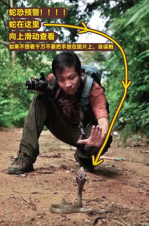 不小心被蛇咬伤，需要把蛇抓到带去医院吗？