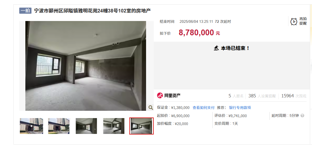 截图自阿里拍卖平台。