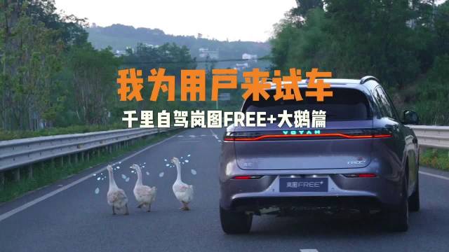 卢总开车遇到