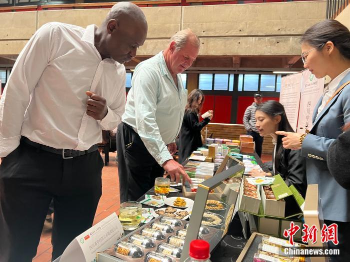 东西问|武长虹:中文国际教育如何促进南非—中国人文交流?