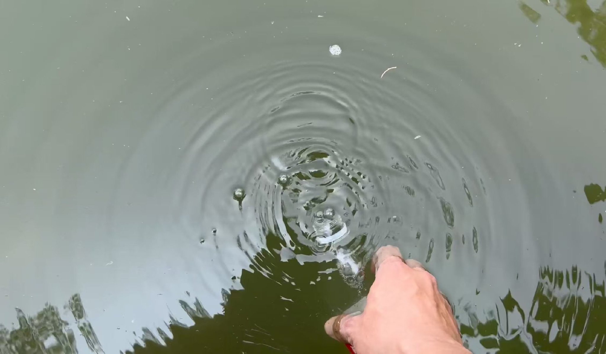 商家發來的影片中,一人正在未名湖畔取水。圖源:影片截圖