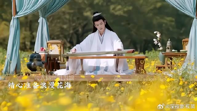 裴文宣精心准备的浪漫花海，到头来变成血色浪漫