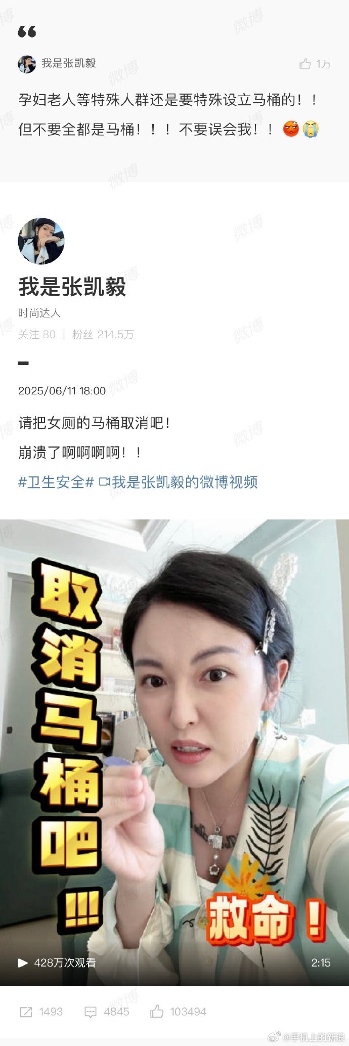 张凯毅说还是需要为特殊人群设马桶的