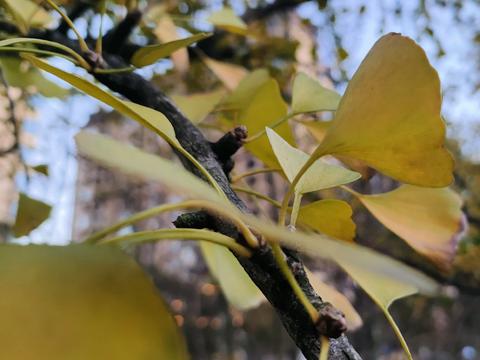 人到五十才明白，普通人活着的意义，就是以下几件事