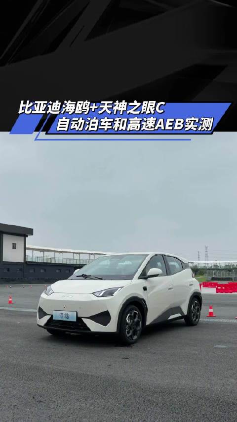 比亚迪海鸥+天神之眼C 自动泊车和高速AEB实测！汽车之家