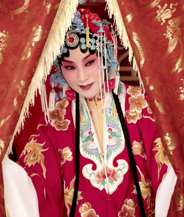 锁麟囊电影,锁麟囊电影完整版
