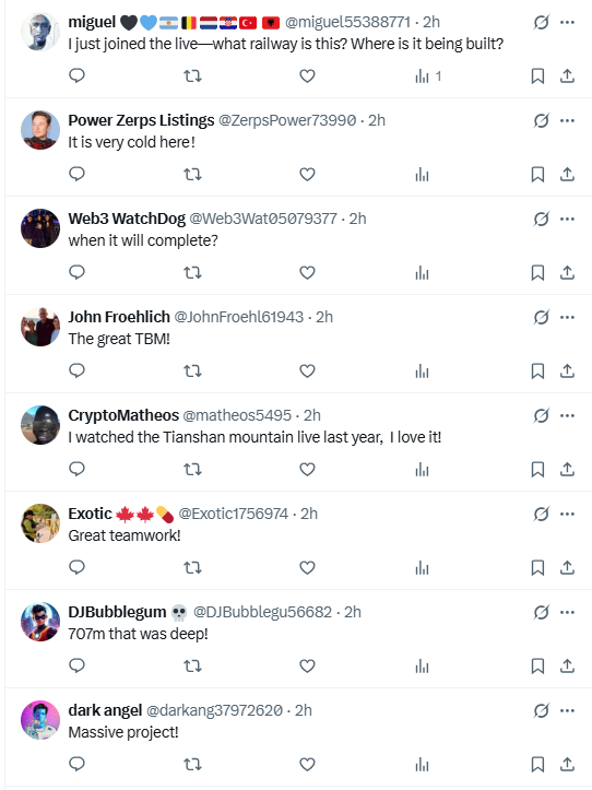 (海外网友评论截图)