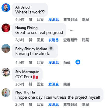 (海外网友评论截图)