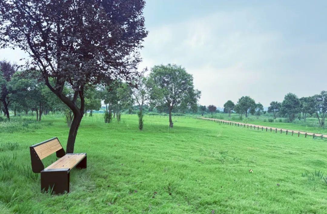 秦咸阳城咸阳宫国家考古遗址公园