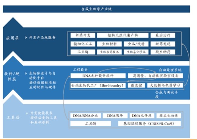 合成生物学产业链 来源:东吴证券研报