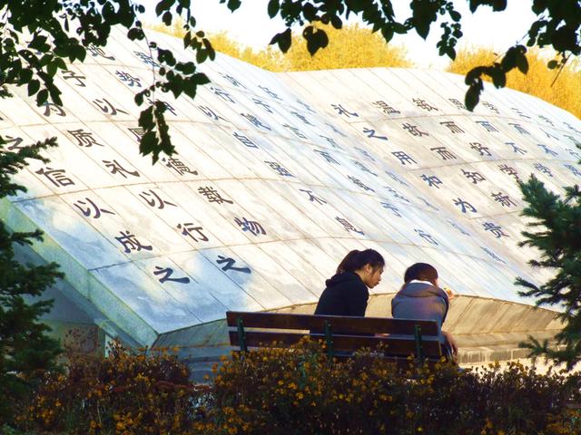 哈理工、长春理工、沈阳理工,哪所大学更强?听听老师怎么说
