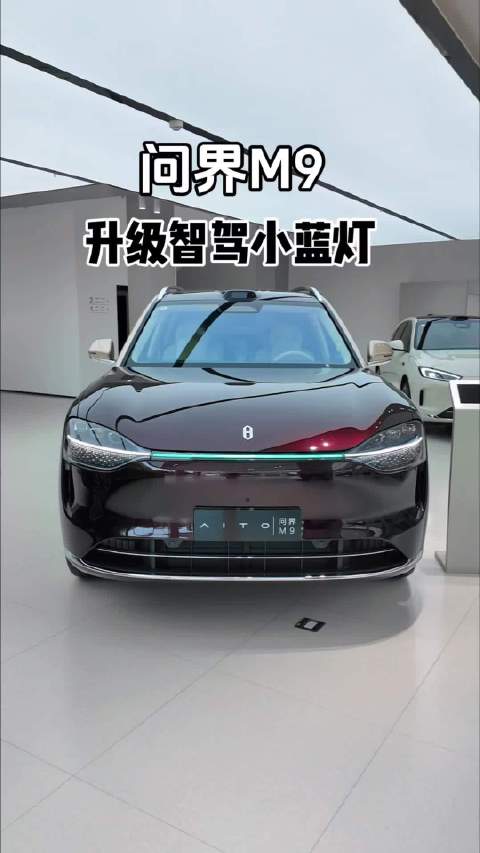 问界M9 2025款大五座版新增小蓝灯啦！
