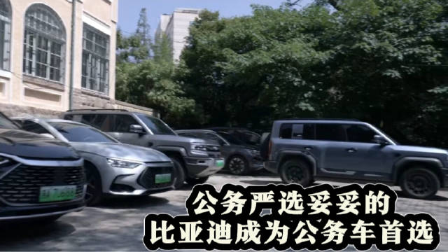 比亚迪成为公务车首选，公务严选妥妥的！