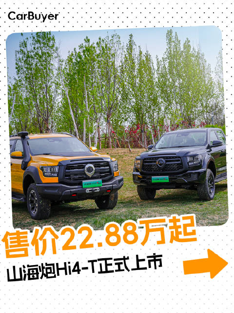 山海炮Hi4-T正式上市，越野混动皮卡你看行吗？