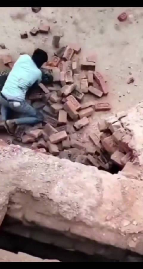 印度男子遭黑豹袭击近身肉搏将其制服