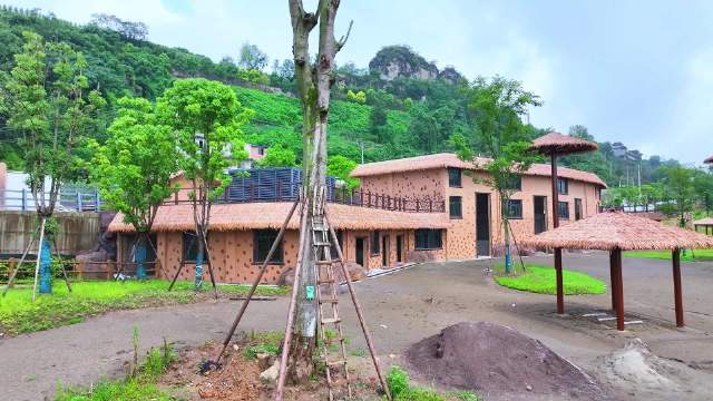 进度85%！ 三峡动物园即将惊艳亮相！鱿鱼游戏第三季