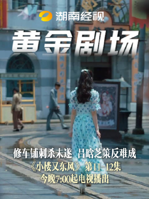 修车铺刺杀未遂，吕晗芝策反难成小楼又东风 今晚7：00起电视播出严宽宋轶