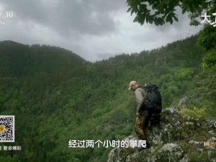 德爷荒野求生大挑战单挑绝境