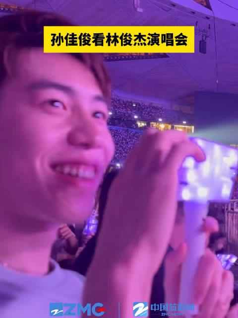 孙佳俊看林俊杰演唱会