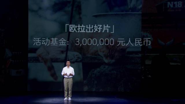 2025款欧拉好猫上市，限时换新价7.98万起