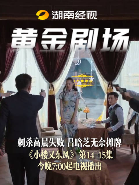 刺杀高晨失败 吕晗芝无奈摊牌小楼又东风 今晚7：00起电视播出严宽宋轶