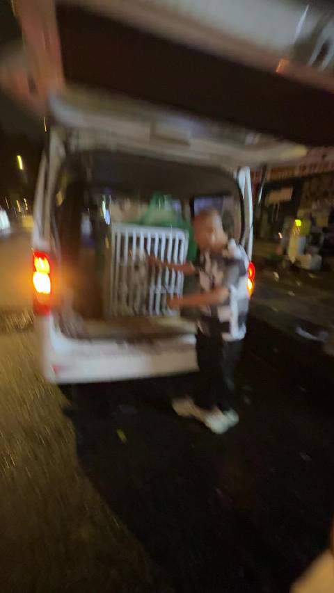 旺卡从杭州飞成都，宠物托运成搬家最贵部分