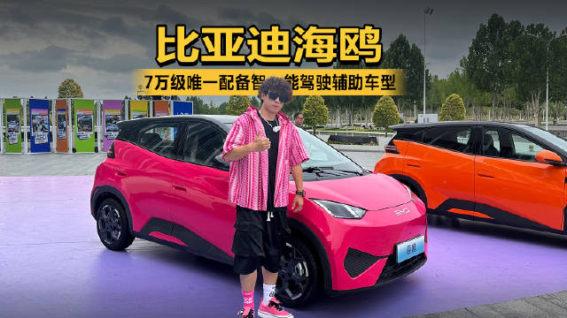 7万级唯一配备智能驾驶辅助车型 比亚迪海鸥定义A00级智慧出行新方式