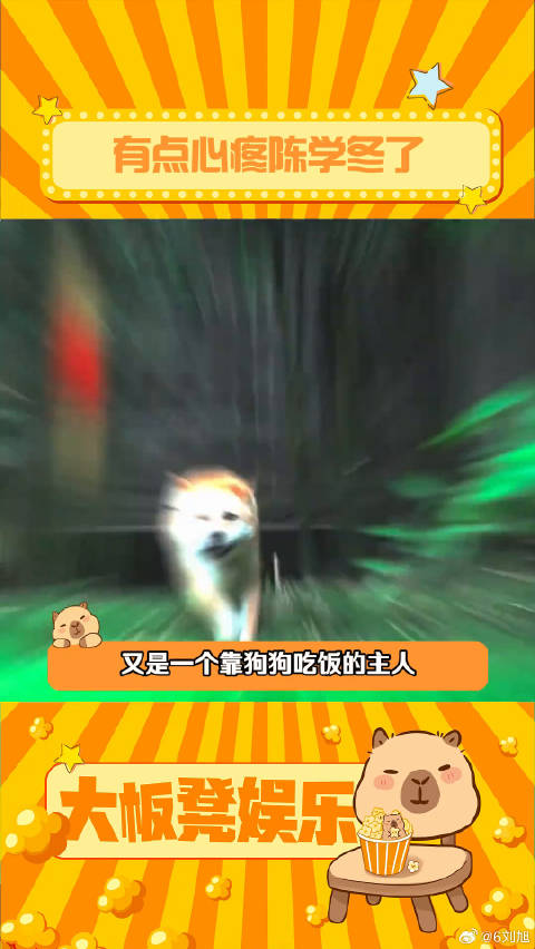 陈学冬应该跟大黄打戏 大黄 演技 微博VC计划