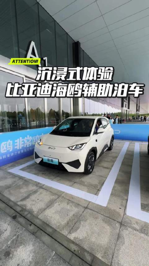 沉浸式体验：比亚迪海鸥智能辅助泊车