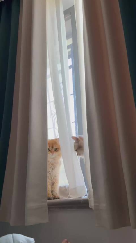 这次冬冬先动手的我看到了