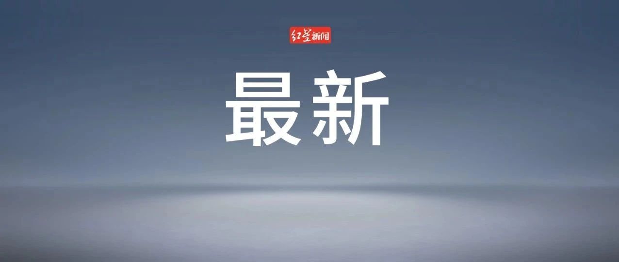 新势力车企6月销量公布