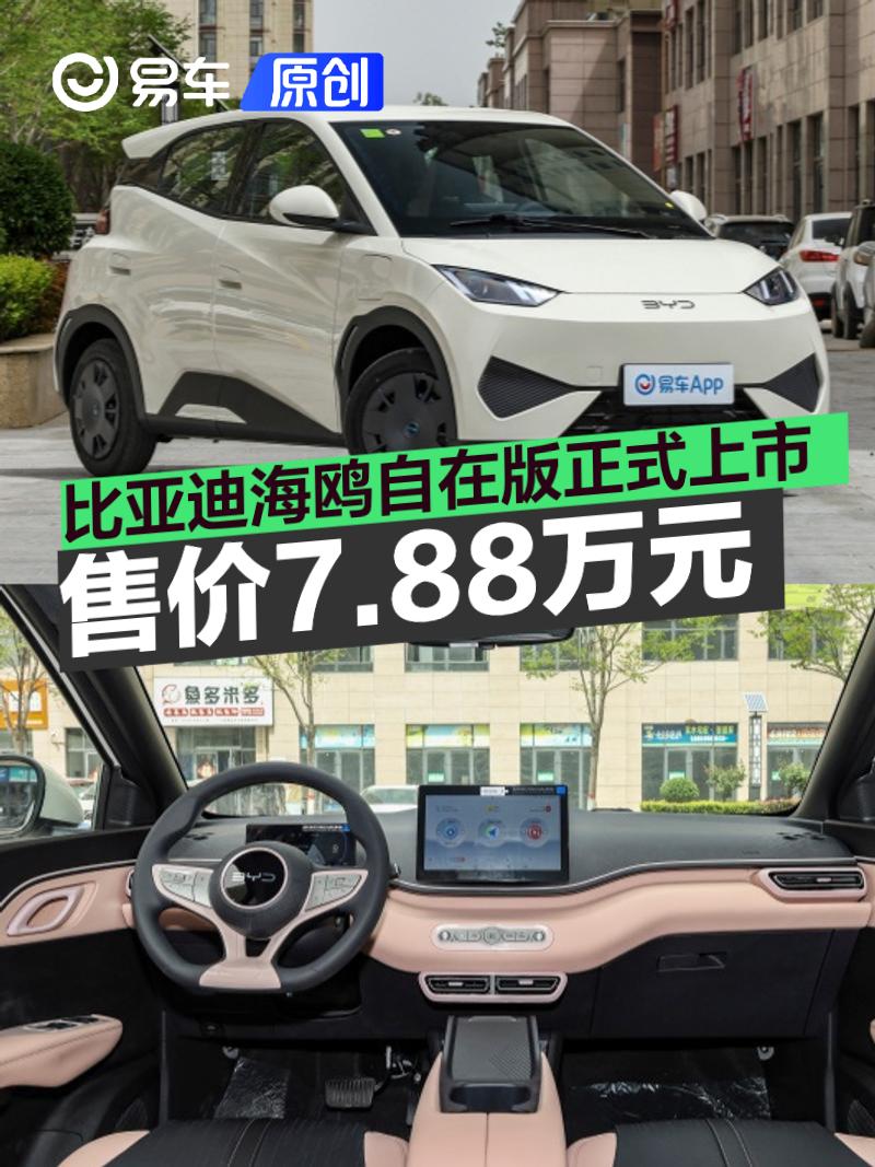 比亚迪海鸥自在版正式上市 售价7.88万元