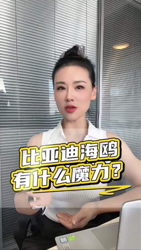 比亚迪海鸥销量破百万辆，7.88万自在版引行业关注